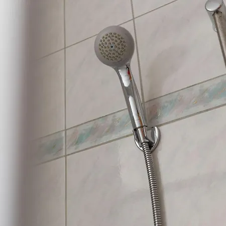 Comfortable Apartment In Zell Am See Near Forest Daire